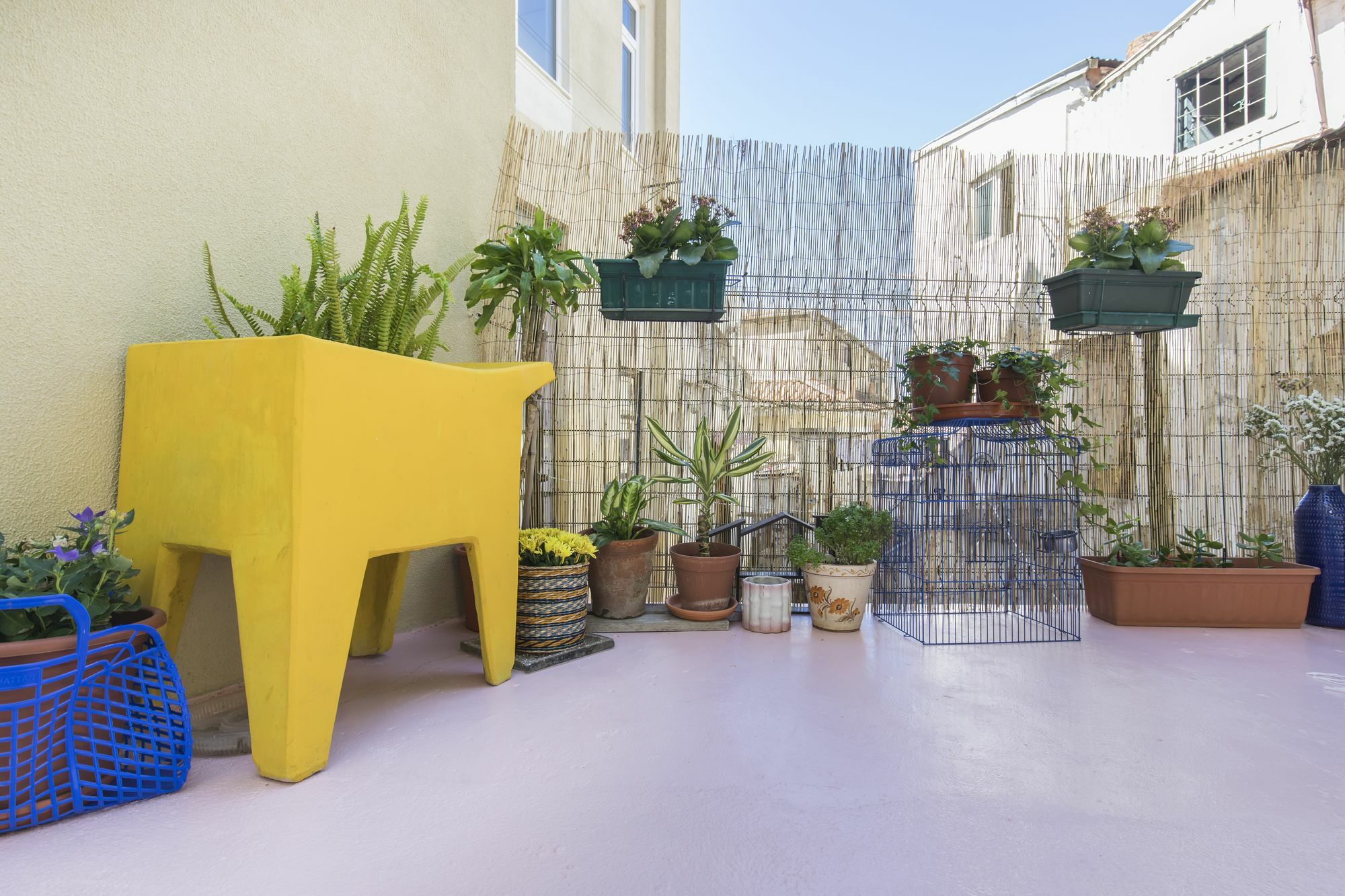 Blue Garden